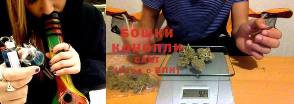 первитин Заречный