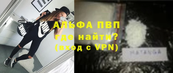 стаф Инта