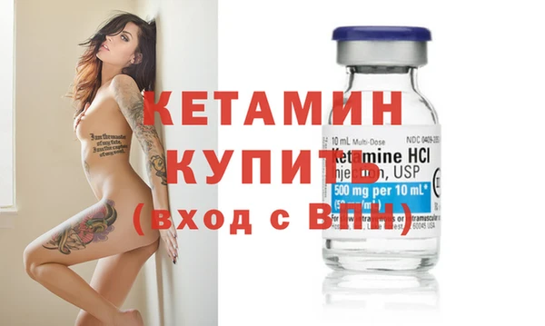стаф Инта