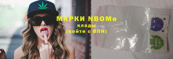 стаф Инта