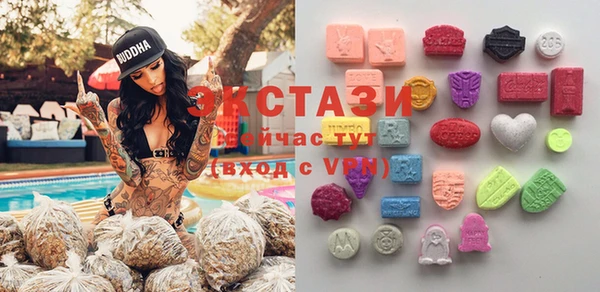 стаф Инта