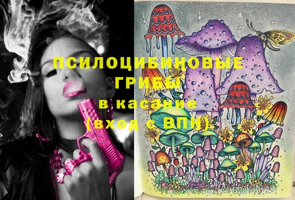 стаф Инта
