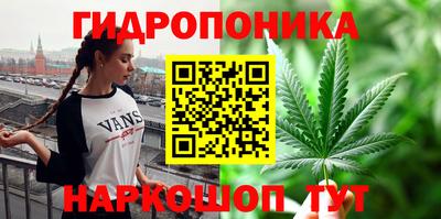 индика Кинель