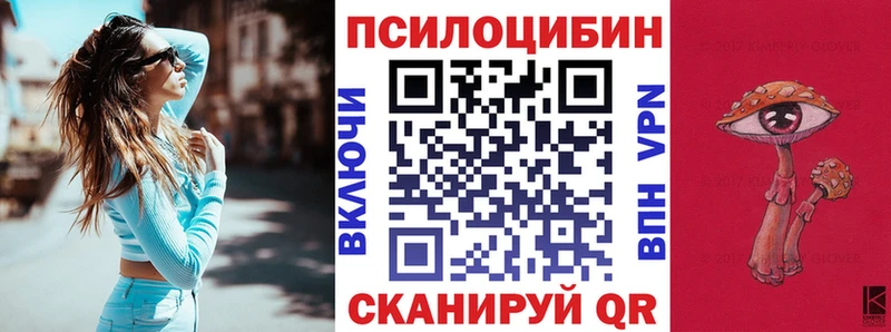 Псилоцибиновые грибы Psilocybine cubensis Кашира